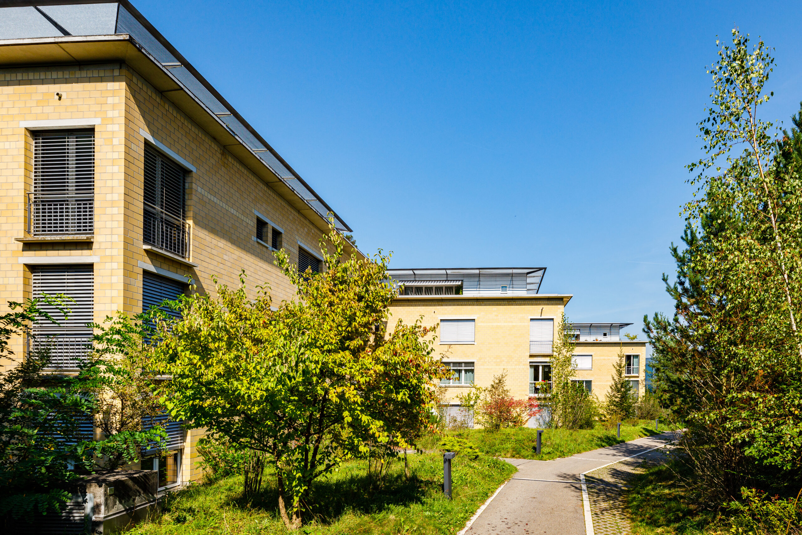 Bühlhäuser Zollikerberg